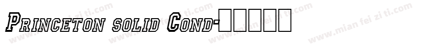 Princeton solid Cond字体转换